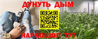 индика Заволжье