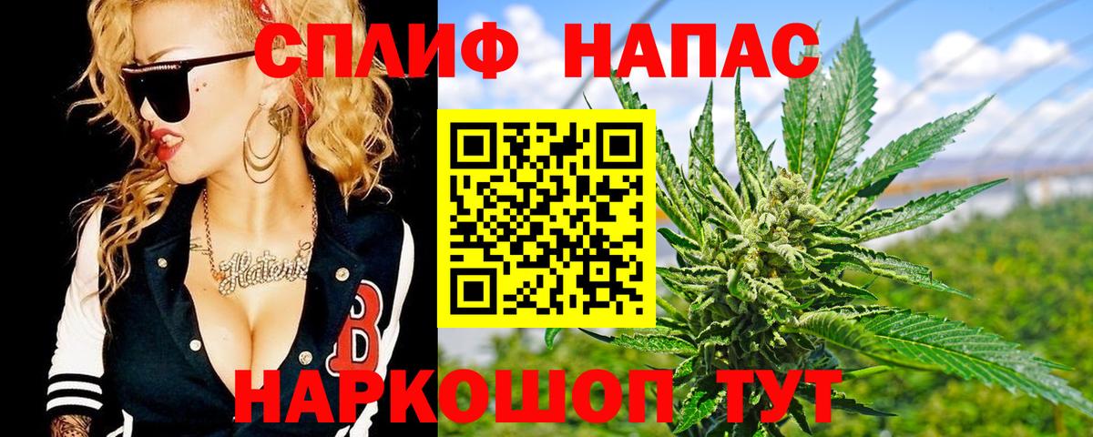 Марихуана сатива  Марихуана конопля  Каннабис SATIVA & INDICA  Вход с VPN  Магнитогорск  Каннабис конопля 